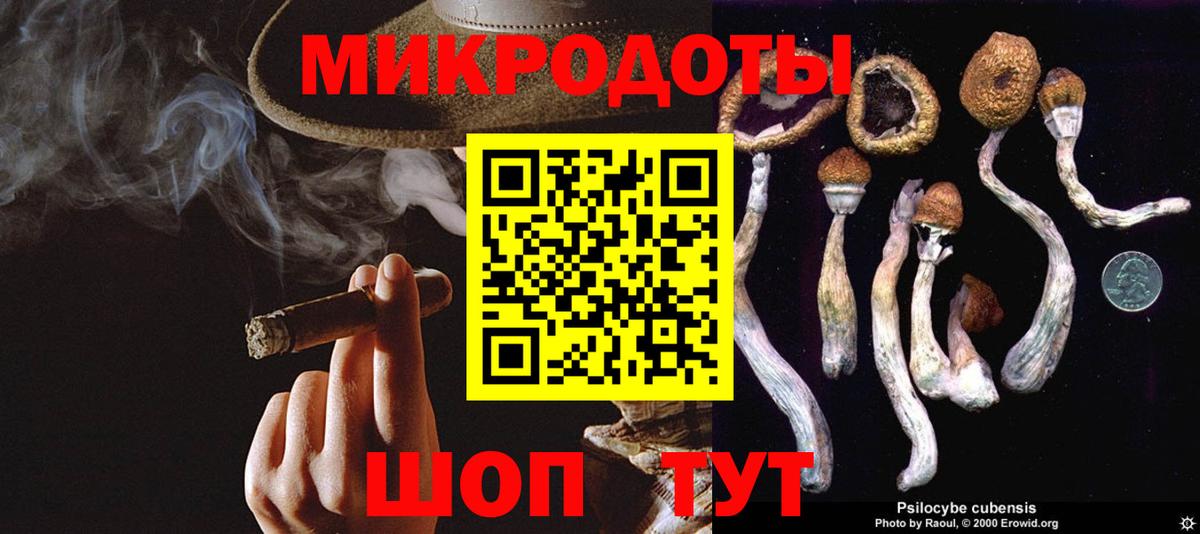 Галлюциногенные грибы прущие грибы Конаково