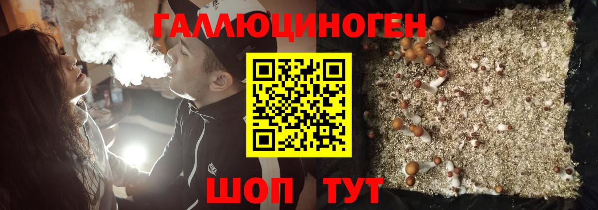 Псилоцибиновые грибы Psilocybe  Вход с VPN  Конаково 